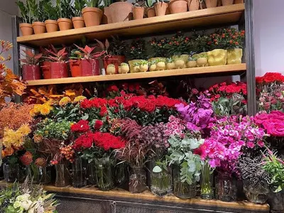 Kwiaciarnia La Flor Galeria Galena